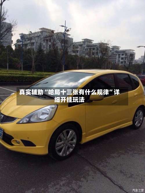 真实辅助“哈局十三张有什么规律”详细开挂玩法-第3张图片