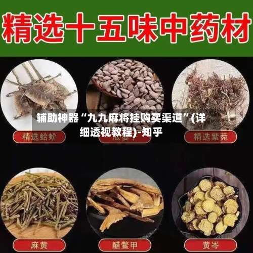 辅助神器“九九麻将挂购买渠道”(详细透视教程)-知乎-第3张图片