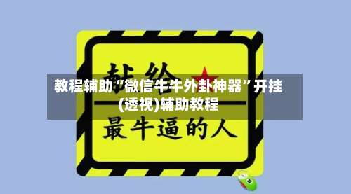 教程辅助“微信牛牛外卦神器	”开挂(透视)辅助教程-第2张图片