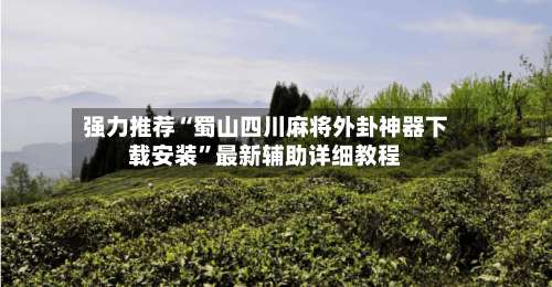 强力推荐“蜀山四川麻将外卦神器下载安装”最新辅助详细教程-第2张图片