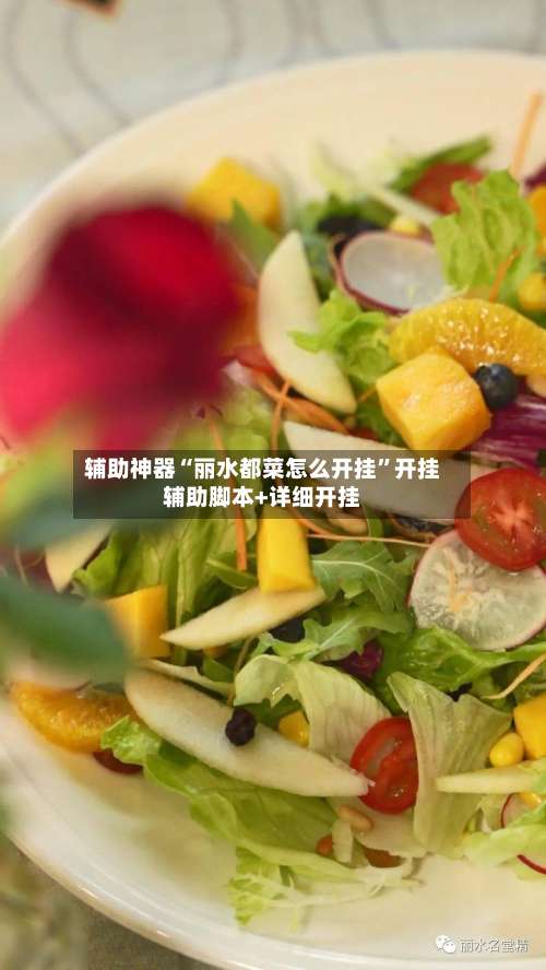 辅助神器“丽水都菜怎么开挂”开挂辅助脚本+详细开挂-第1张图片