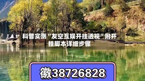 科普实测“友空互娱开挂透视”附开挂脚本详细步骤-第1张图片