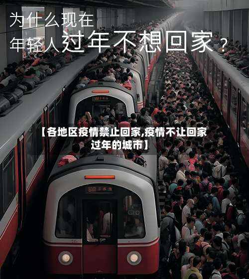 【各地区疫情禁止回家,疫情不让回家过年的城市】-第3张图片