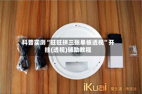 科普实测“旺旺拼三张单板透视”开挂(透视)辅助教程-第3张图片