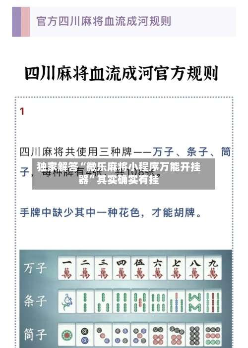 独家解答“微乐麻将小程序万能开挂器”其实确实有挂-第3张图片