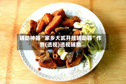 辅助神器“家乡大贰开挂辅助器	”作弊(透视)透视辅助-第1张图片