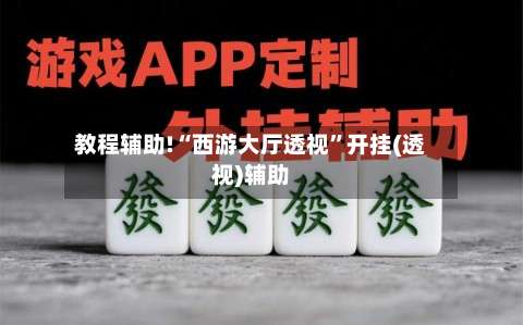 教程辅助!“西游大厅透视”开挂(透视)辅助-第3张图片