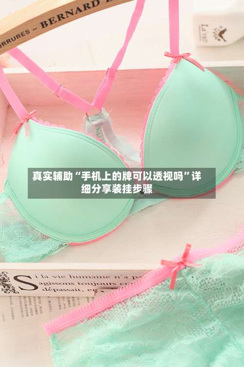真实辅助“手机上的牌可以透视吗”详细分享装挂步骤-第2张图片