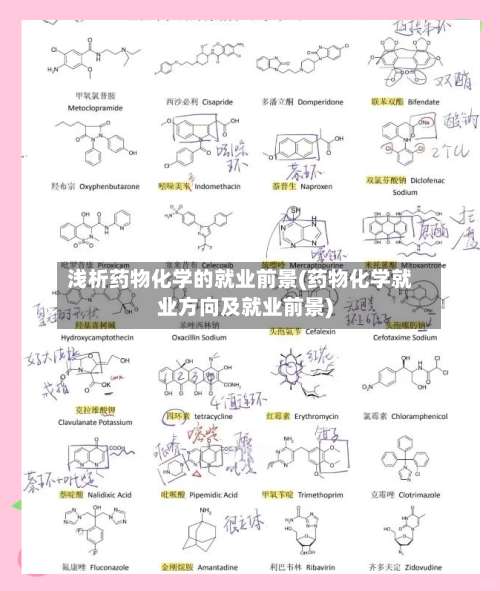 浅析药物化学的就业前景(药物化学就业方向及就业前景)-第3张图片