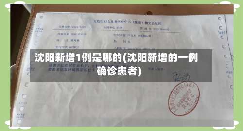 沈阳新增1例是哪的(沈阳新增的一例确诊患者)-第2张图片