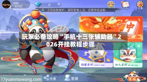 玩家必备攻略“手机十三张辅助器”2026开挂教程步骤-第2张图片