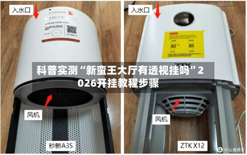 科普实测“新蛮王大厅有透视挂吗”2026开挂教程步骤-第1张图片