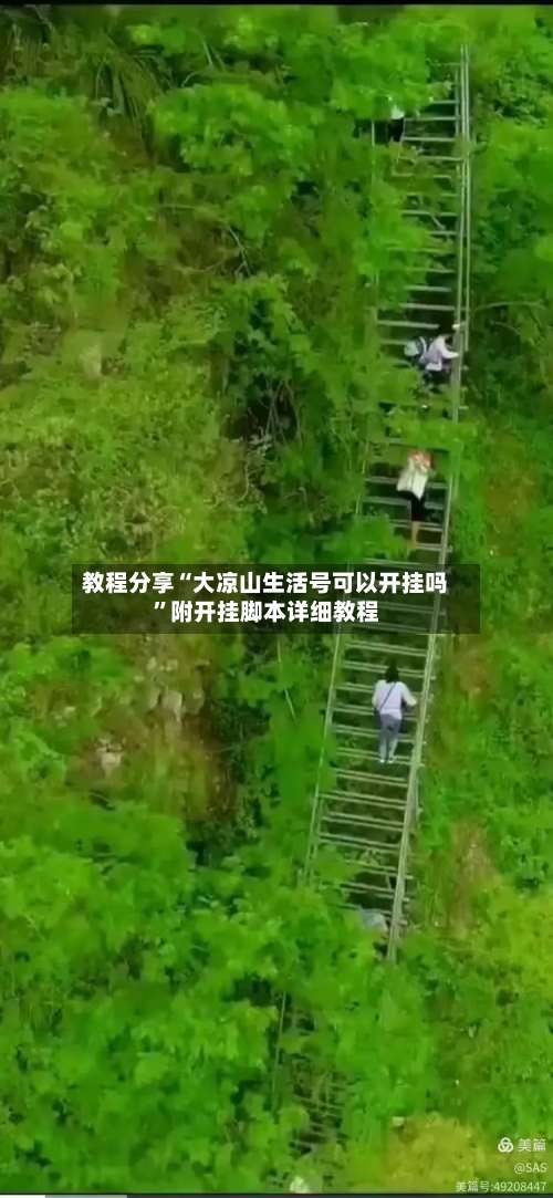 教程分享“大凉山生活号可以开挂吗”附开挂脚本详细教程-第1张图片