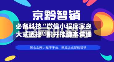 必备科技“微信小程序家乡大贰透视”附开挂脚本详细-第1张图片