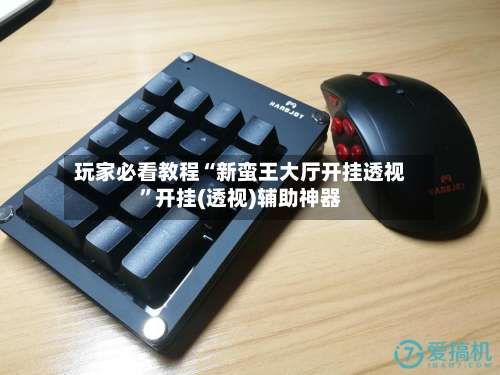 玩家必看教程“新蛮王大厅开挂透视	”开挂(透视)辅助神器-第2张图片