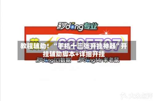 教程辅助！“手机十三张开挂神器	”开挂辅助脚本+详细开挂-第1张图片