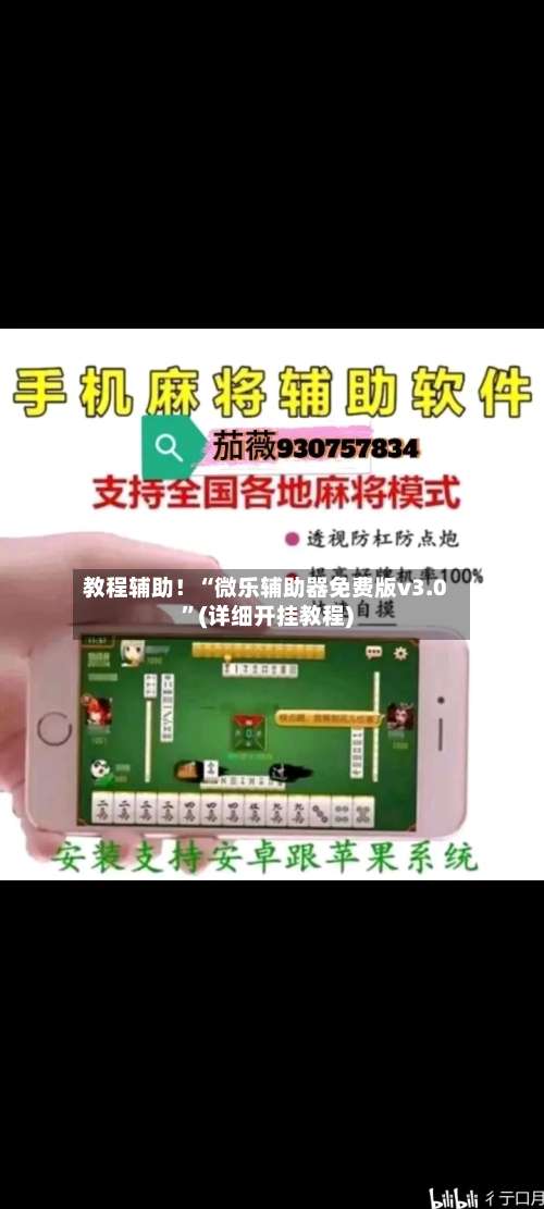 教程辅助！“微乐辅助器免费版v3.0”(详细开挂教程)-第2张图片