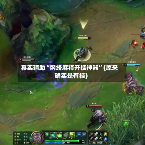 真实辅助“网络麻将开挂神器”(原来确实是有挂)-第2张图片