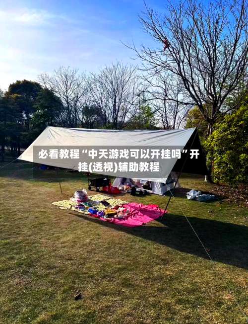 必看教程“中天游戏可以开挂吗	”开挂(透视)辅助教程-第2张图片