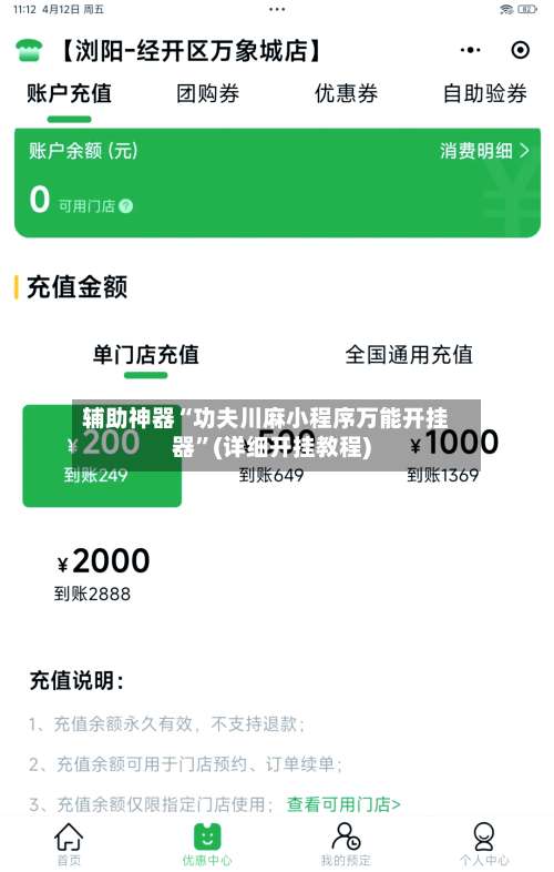 辅助神器“功夫川麻小程序万能开挂器	”(详细开挂教程)-第1张图片