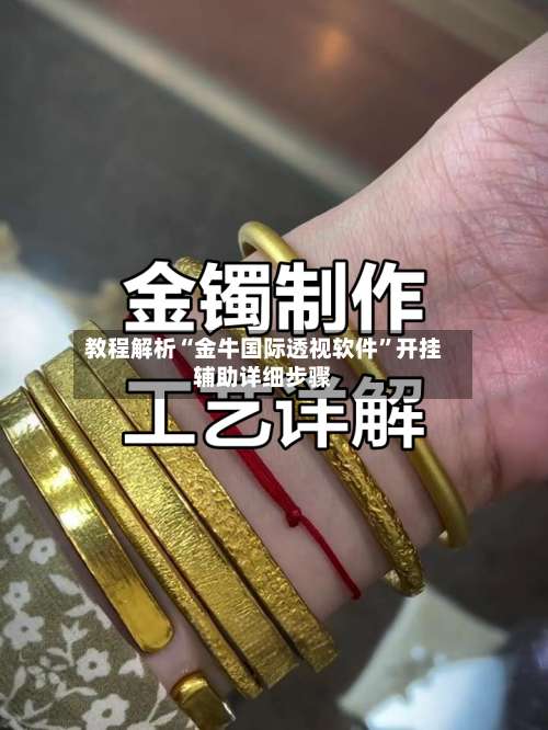 教程解析“金牛国际透视软件”开挂辅助详细步骤-第2张图片