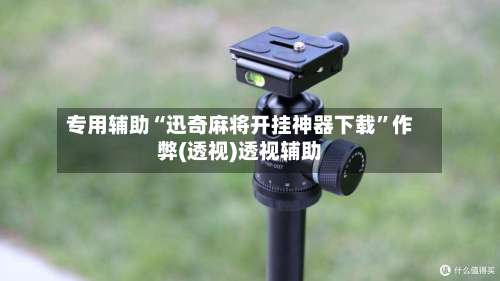 专用辅助“迅奇麻将开挂神器下载”作弊(透视)透视辅助-第1张图片