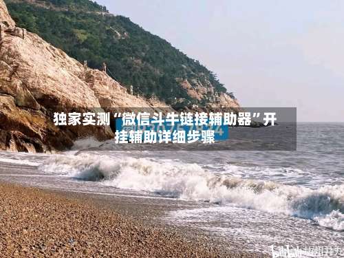 独家实测“微信斗牛链接辅助器”开挂辅助详细步骤-第2张图片