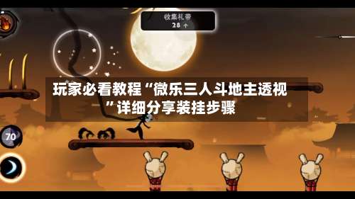 玩家必看教程“微乐三人斗地主透视”详细分享装挂步骤-第2张图片