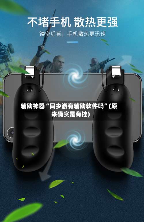 辅助神器“同乡游有辅助软件吗	”(原来确实是有挂)-第2张图片