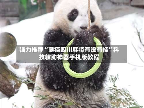 强力推荐“熊猫四川麻将有没有挂	”科技辅助神器手机版教程-第1张图片