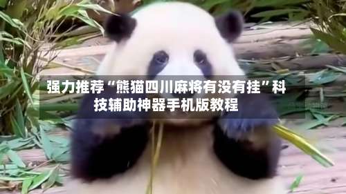 强力推荐“熊猫四川麻将有没有挂”科技辅助神器手机版教程-第2张图片