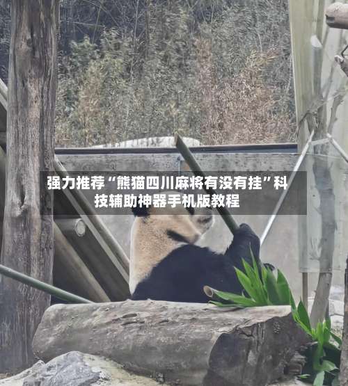 强力推荐“熊猫四川麻将有没有挂”科技辅助神器手机版教程-第3张图片