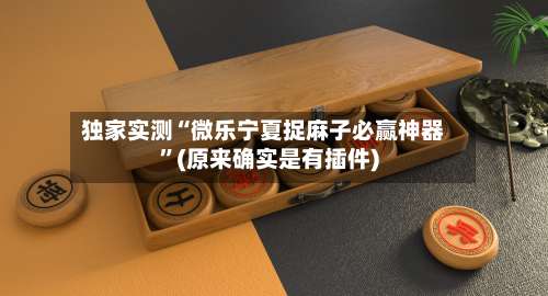 独家实测“微乐宁夏捉麻子必赢神器”(原来确实是有插件)-第2张图片