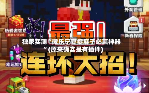 独家实测“微乐宁夏捉麻子必赢神器”(原来确实是有插件)-第1张图片