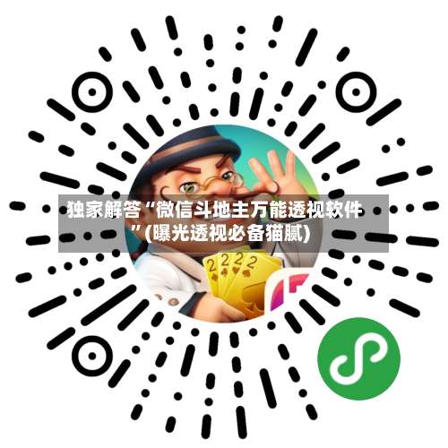 独家解答“微信斗地主万能透视软件”(曝光透视必备猫腻)-第1张图片