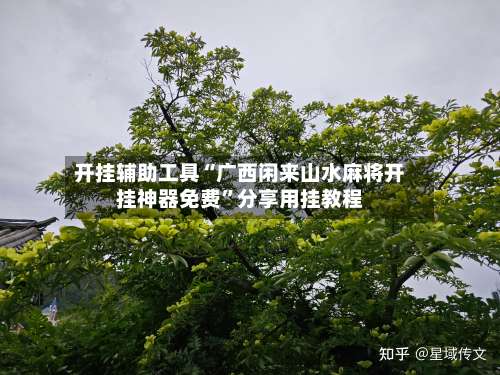 开挂辅助工具“广西闲来山水麻将开挂神器免费	”分享用挂教程-第1张图片