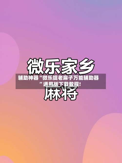 辅助神器“微乐捉老麻子万能辅助器”通用版下载教程!-第3张图片