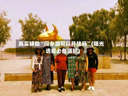 真实辅助“同乡游可以开挂吗”(曝光透视必备猫腻)-第3张图片