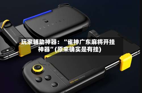 玩家辅助神器：“雀神广东麻将开挂神器”(原来确实是有挂)-第3张图片