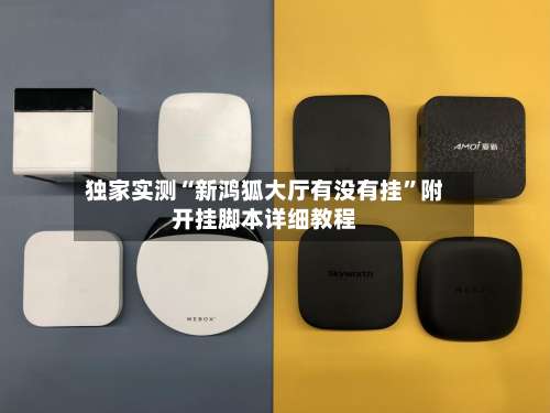 独家实测“新鸿狐大厅有没有挂	”附开挂脚本详细教程-第1张图片