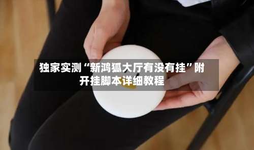 独家实测“新鸿狐大厅有没有挂”附开挂脚本详细教程-第3张图片