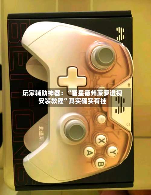 玩家辅助神器：“智星德州菠萝透视安装教程	”其实确实有挂-第2张图片