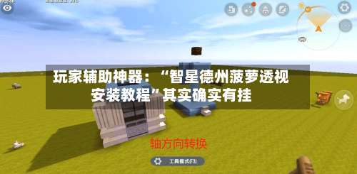 玩家辅助神器：“智星德州菠萝透视安装教程”其实确实有挂-第1张图片