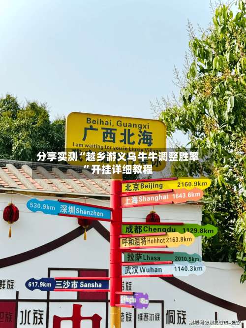 分享实测“越乡游义乌牛牛调整胜率”开挂详细教程-第2张图片