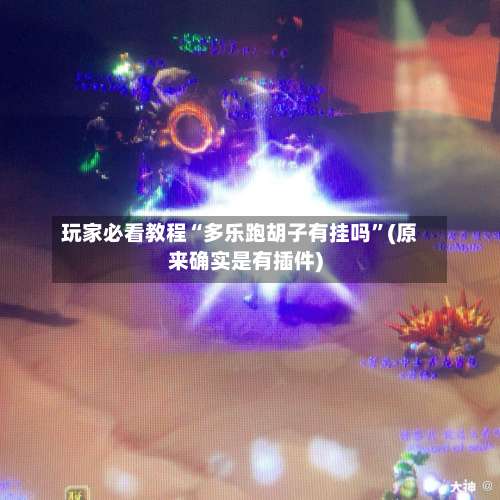 玩家必看教程“多乐跑胡子有挂吗	”(原来确实是有插件)-第2张图片