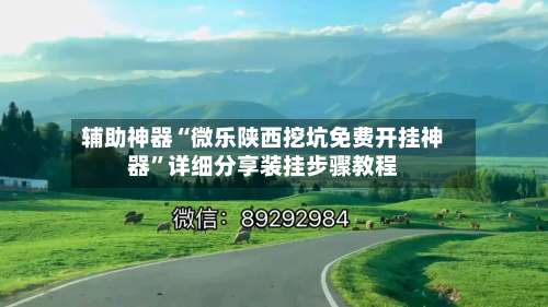 辅助神器“微乐陕西挖坑免费开挂神器”详细分享装挂步骤教程-第3张图片