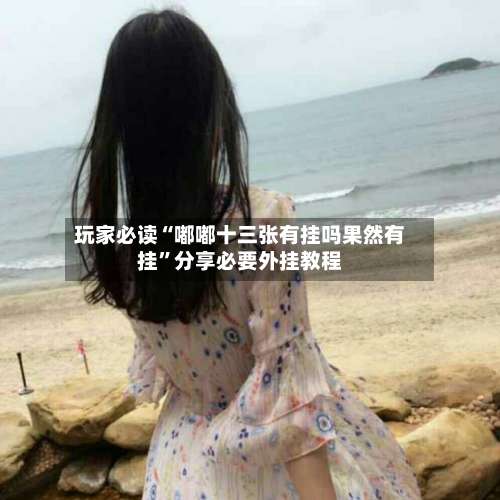 玩家必读“嘟嘟十三张有挂吗果然有挂	”分享必要外挂教程-第1张图片