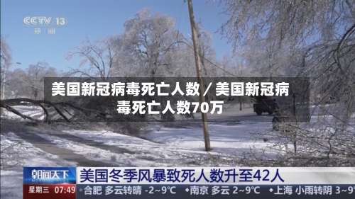美国新冠病毒死亡人数／美国新冠病毒死亡人数70万-第3张图片
