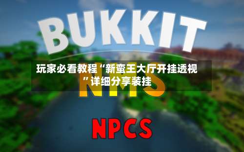 玩家必看教程“新蛮王大厅开挂透视”详细分享装挂-第2张图片