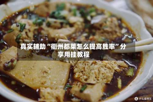 真实辅助“衢州都莱怎么提高胜率	”分享用挂教程-第1张图片